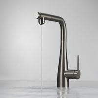 Kitchen tap, with water filter connection, with pull-out spout - BRE_D75M - Zdjęcie produktowe